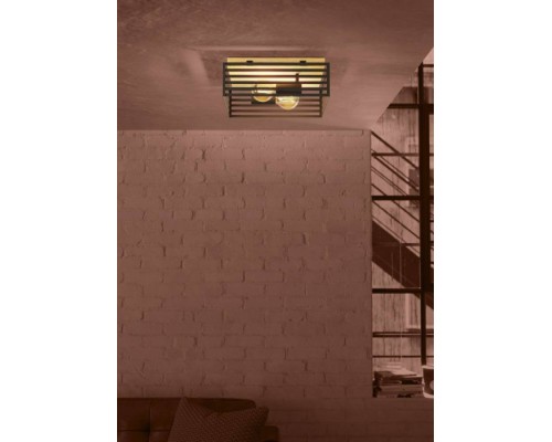 Потолочный светильник CIDRAZ 390163 Eglo