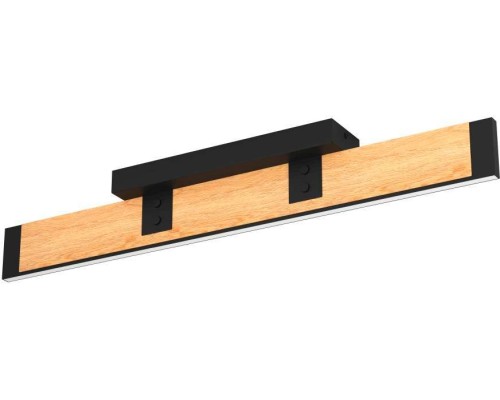 Потолочный светильник CAMINARRO 390224 Eglo