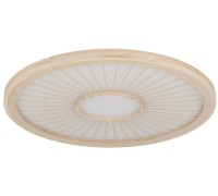 Потолочный светильник DEHESA 390296 Eglo