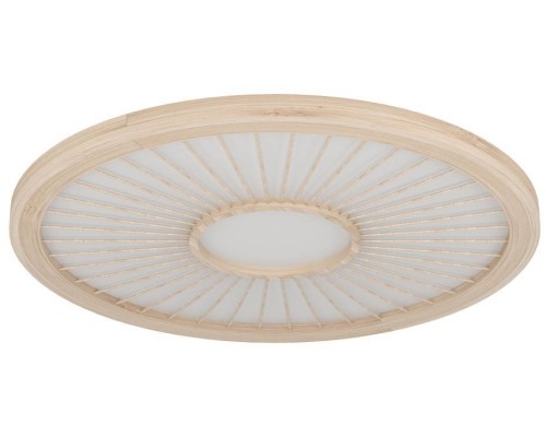 Потолочный светильник DEHESA 390296 Eglo