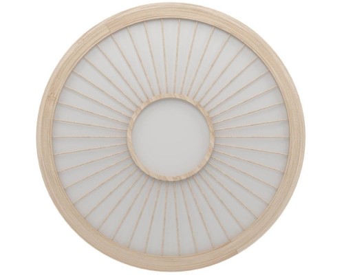 Потолочный светильник DEHESA 390296 Eglo