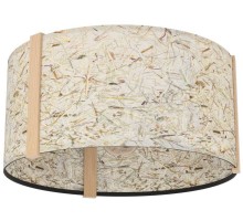 Потолочный светильник HONTONGAS 390322 Eglo