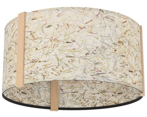 Потолочный светильник HONTONGAS 390322 Eglo