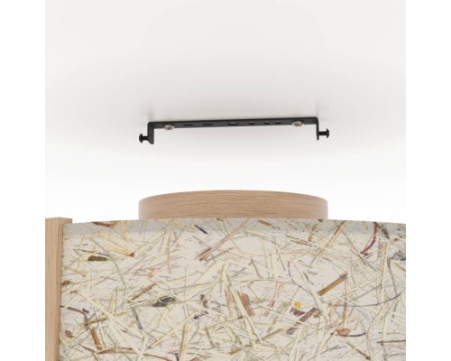 Потолочный светильник HONTONGAS 390322 Eglo