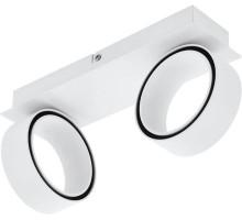 Спот Albariza 39585 Eglo