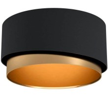 Потолочный светильник Manderline 39924 Eglo