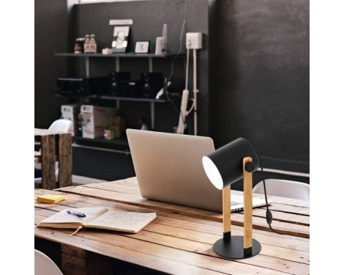 Настольная лампа Hornwood 43047 Eglo