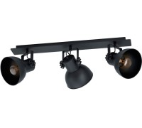 Спот Barnstaple 1 43433 Eglo