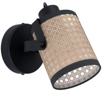 Спот Ruscomb 43493 Eglo