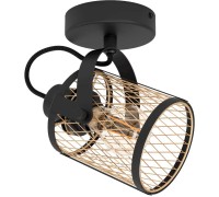 Спот Dellow 43531 Eglo