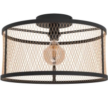 Потолочный светильник Dellow 43603 Eglo