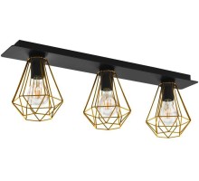 Потолочный светильник Tarbes 2 43655 Eglo