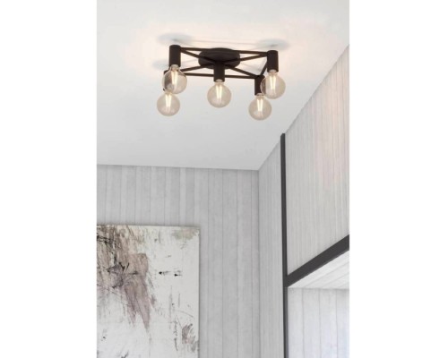 Потолочный светильник Speke 43721 Eglo