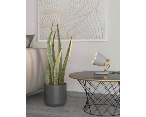 Интерьерная настольная лампа TWICKEN 43841 Eglo