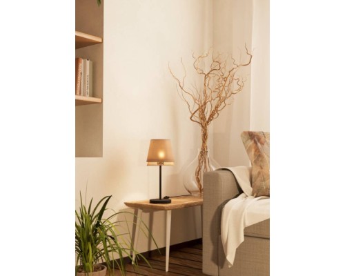 Интерьерная настольная лампа TABLEY 43977 Eglo