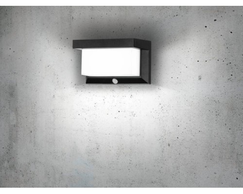 Настенный светильник уличный UTRERA 48968 Eglo