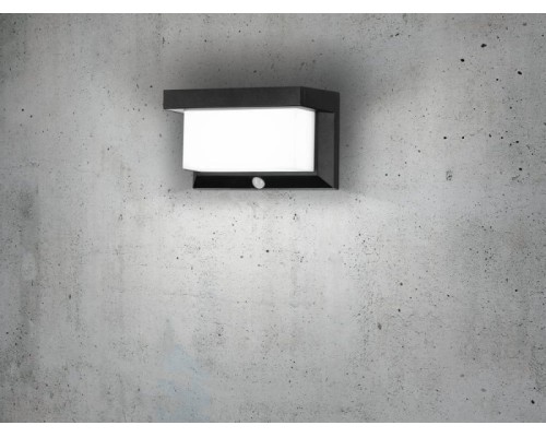 Настенный светильник уличный UTRERA 48968 Eglo