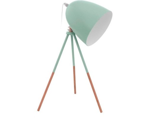 Настольная лампа Dundee 49337 Eglo