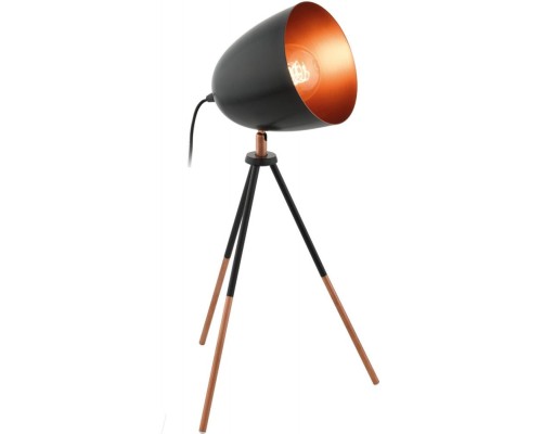 Настольная лампа Chester 49385 Eglo