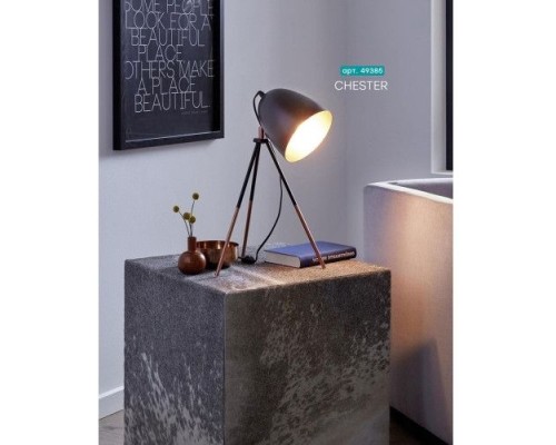 Настольная лампа Chester 49385 Eglo