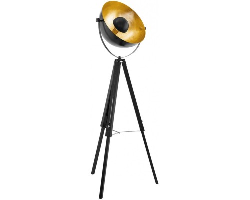 Торшер Covaleda 49618 Eglo