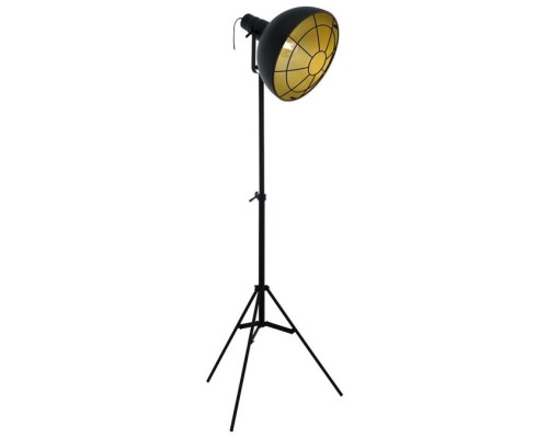 Торшер Cannington 49674 Eglo