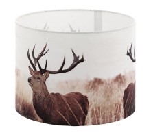 Плафон 1+1 Vintage 49863 Eglo