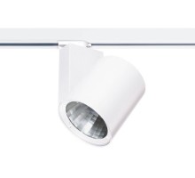 Трековый светильник Ferronego 111 61452 Eglo