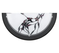 Настенный светильник Planet 3 83194 Eglo