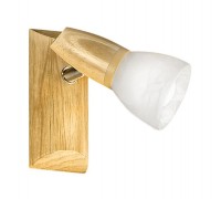 Спот Aosta 86535 Eglo