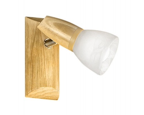 Спот Aosta 86535 Eglo