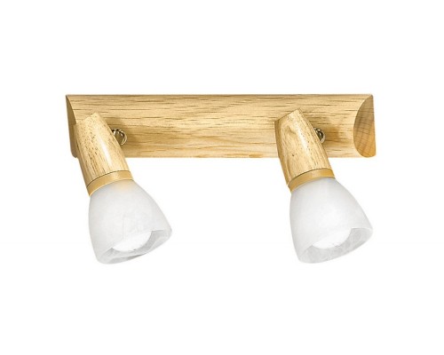 Спот Aosta 86536 Eglo