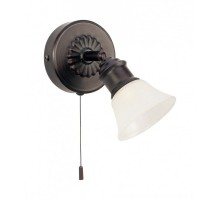 Спот Alamo 89057 Eglo