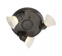 Спот Alamo 89061 Eglo