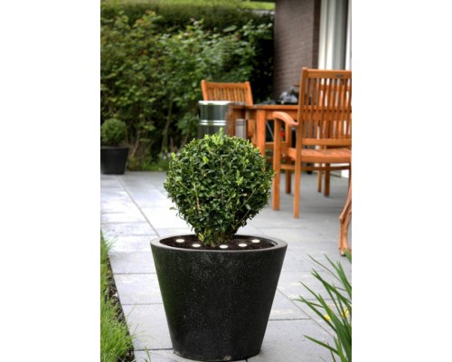 Грунтовый светильник SPINETOLI 2 900117 Eglo