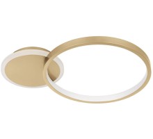 Потолочный светильник GAFARES 900423 Eglo