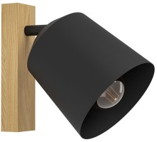 Спот COTORRO 900434 Eglo