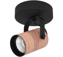 Спот CAYUCA 900436 Eglo