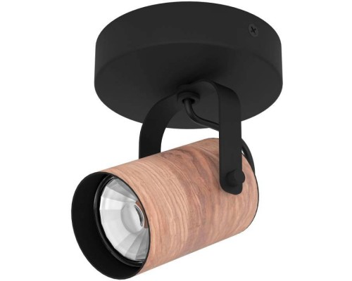 Спот CAYUCA 900436 Eglo