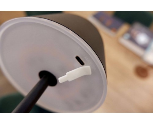 Уличная настольная лампа Mannera 900457 Eglo