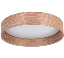 Потолочный светильник LUPPINERIA 900463 Eglo