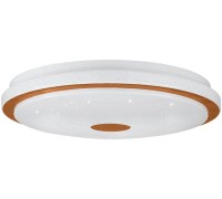 Настенно-потолочный светильник LANCIANO 1 900598 Eglo