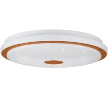 Настенно-потолочный светильник LANCIANO 1 900598 Eglo