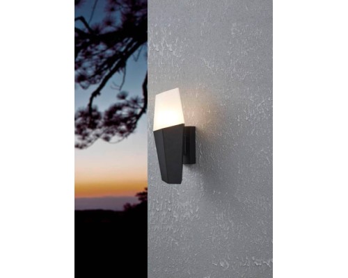 Настенный светильник уличный FARINDOLA 900682 Eglo