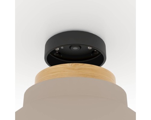 Потолочный светильник MOHARRAS 900736 Eglo