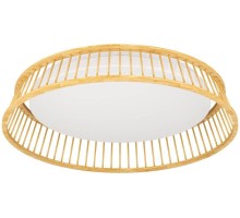 Потолочный светильник LUPPINERIA 900797 Eglo