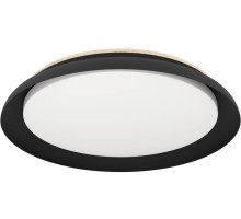 Потолочный светильник PENJAMO 1 900857 Eglo