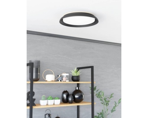 Потолочный светильник PENJAMO 1 900857 Eglo