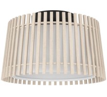 Потолочный светильник FATTORIA 900901 Eglo