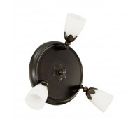 Спот Danielle 91431 Eglo